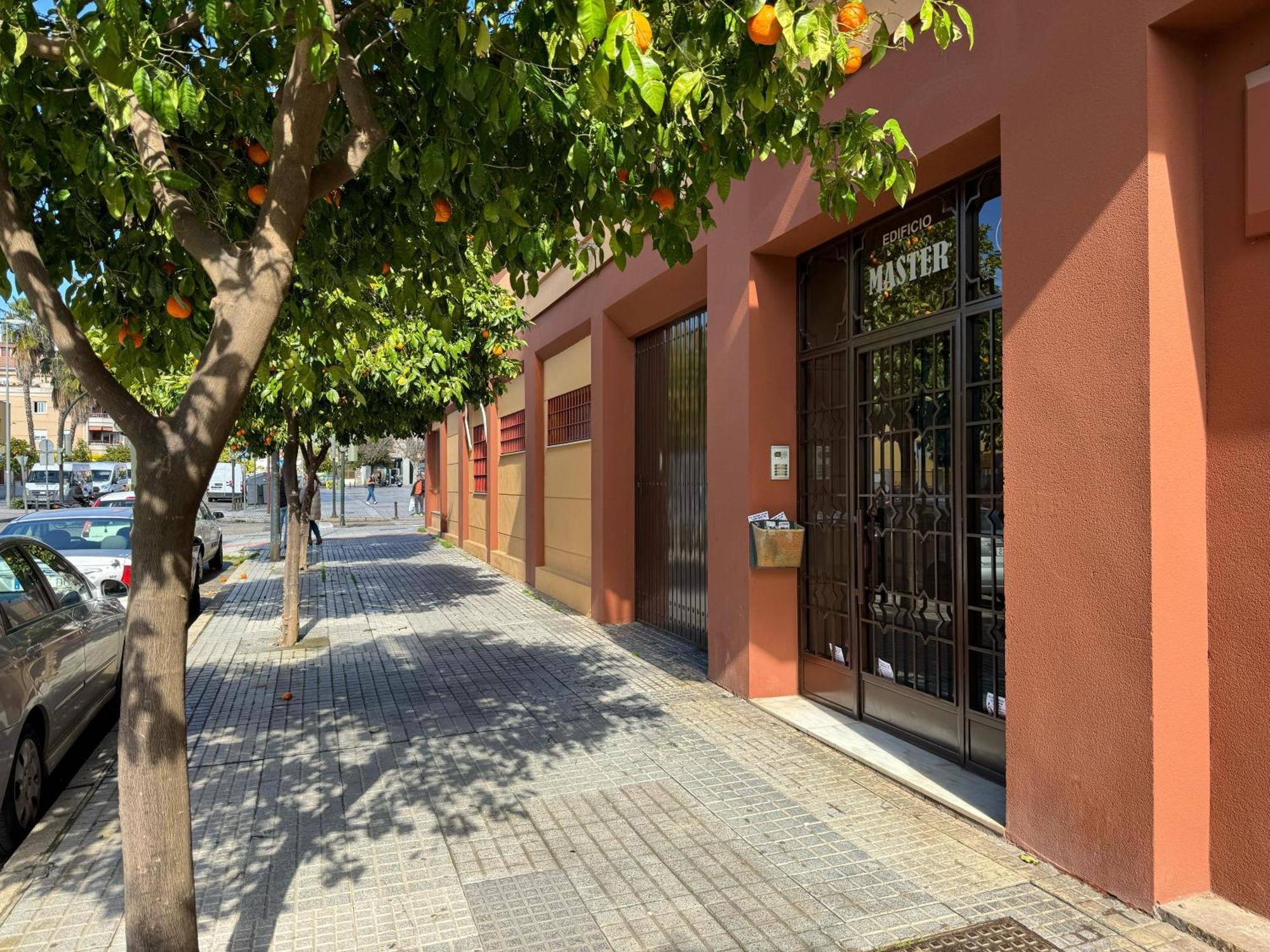 Apartamento Maria La Judia قرطبة المظهر الخارجي الصورة